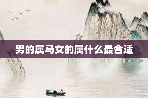 男的属马女的属什么最合适