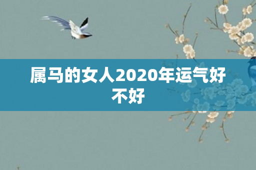 属马的女人2020年运气好不好