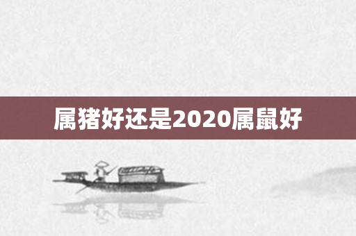 属猪好还是2020属鼠好