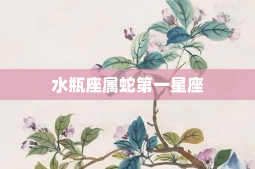 水瓶座属蛇之一星座