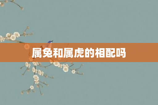 属兔和属虎的相配吗