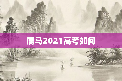 属马2021高考如何