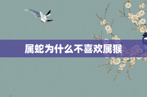 属蛇为什么不喜欢属猴