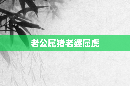 老公属猪老婆属虎