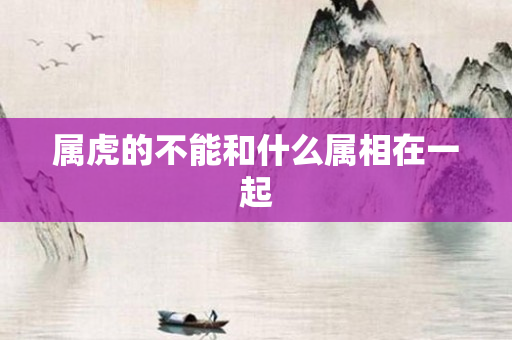 属虎的不能和什么属相在一起