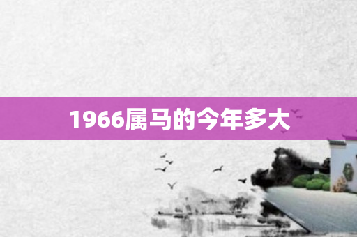 1966属马的今年多大