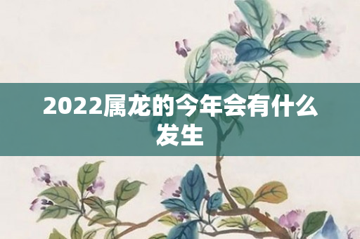 2022属龙的今年会有什么发生