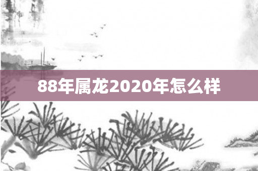 88年属龙2020年怎么样