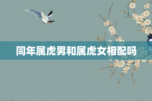 同年属虎男和属虎女相配吗