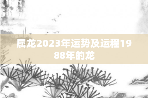 属龙2023年运势及运程1988年的龙