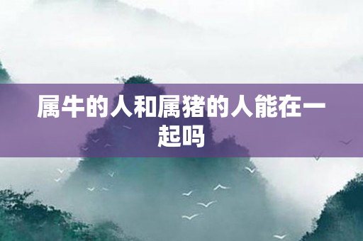 属牛的人和属猪的人能在一起吗
