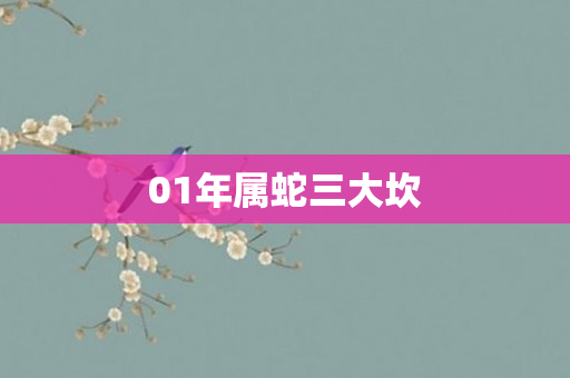 01年属蛇三大坎