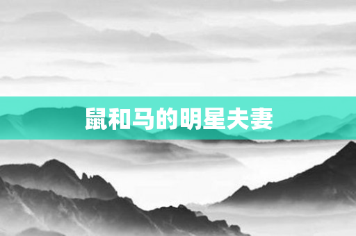 鼠和马的明星夫妻