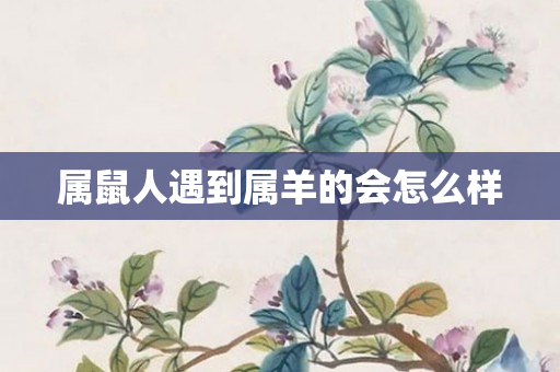 属鼠人遇到属羊的会怎么样