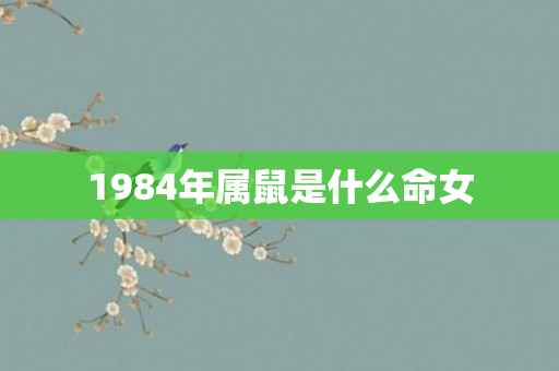 1984年属鼠是什么命女
