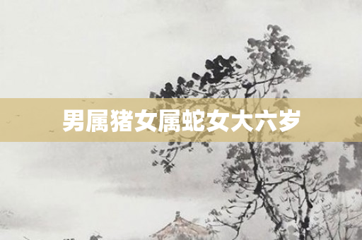 男属猪女属蛇女大六岁