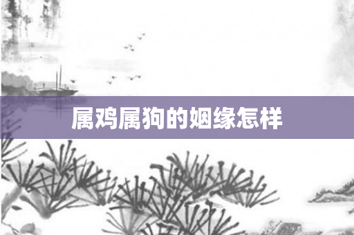 属鸡属狗的姻缘怎样