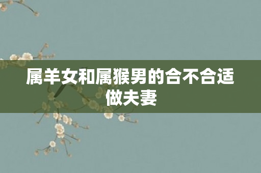 属羊女和属猴男的合不合适做夫妻