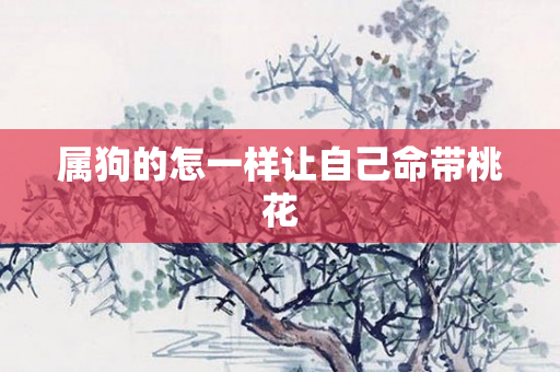 属狗的怎一样让自己命带桃花