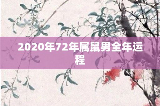 2020年72年属鼠男全年运程