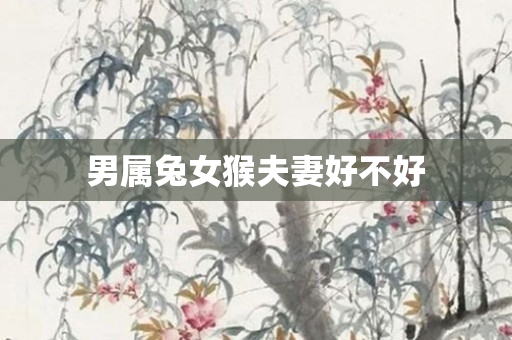 男属兔女猴夫妻好不好