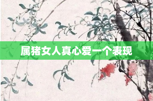 属猪女人真心爱一个表现