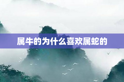 属牛的为什么喜欢属蛇的