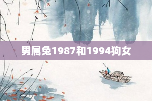 男属兔1987和1994狗女