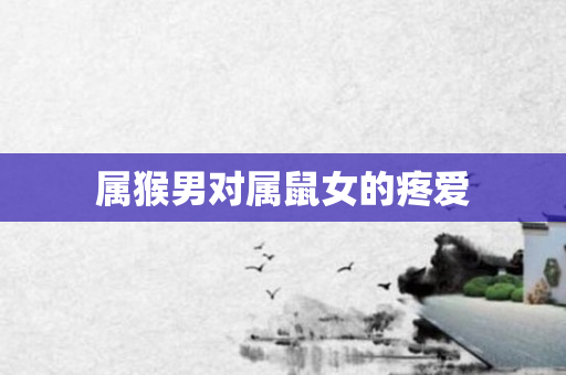 属猴男对属鼠女的疼爱