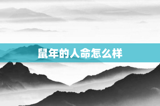 鼠年的人命怎么样