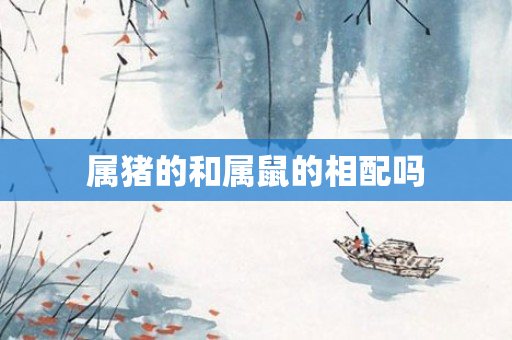 属猪的和属鼠的相配吗