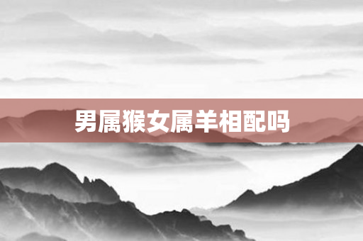 男属猴女属羊相配吗