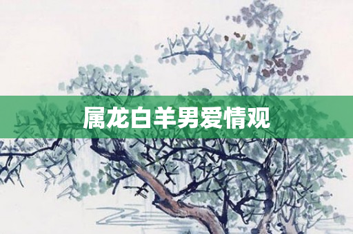 属龙白羊男爱情观