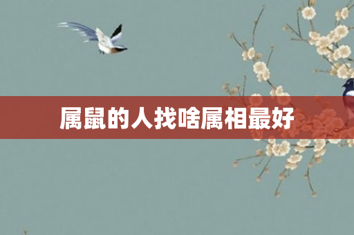 属鼠的人找啥属相更好