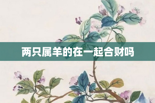 两只属羊的在一起合财吗