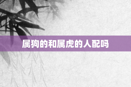 属狗的和属虎的人配吗