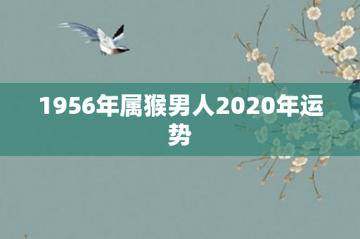 1956年属猴男人2020年运势