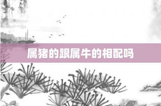 属猪的跟属牛的相配吗