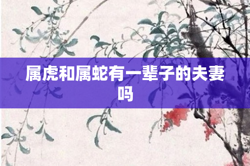属虎和属蛇有一辈子的夫妻吗