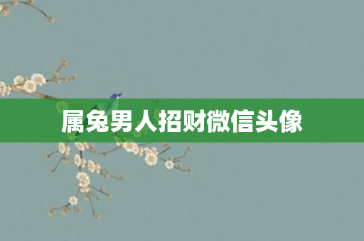 属兔男人招财微信头像