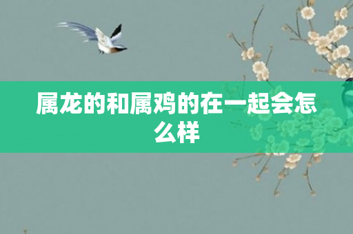 属龙的和属鸡的在一起会怎么样