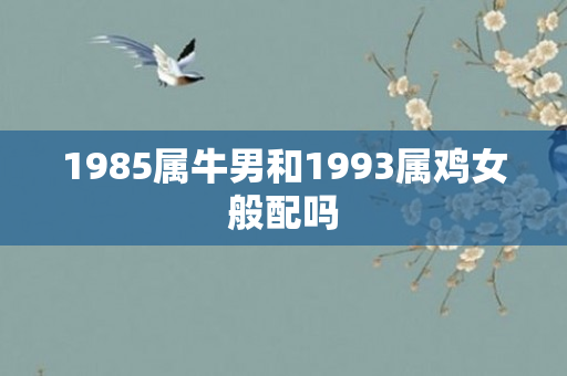 1985属牛男和1993属鸡女般配吗