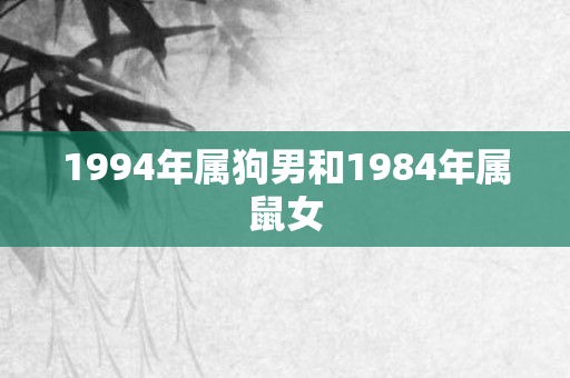 1994年属狗男和1984年属鼠女