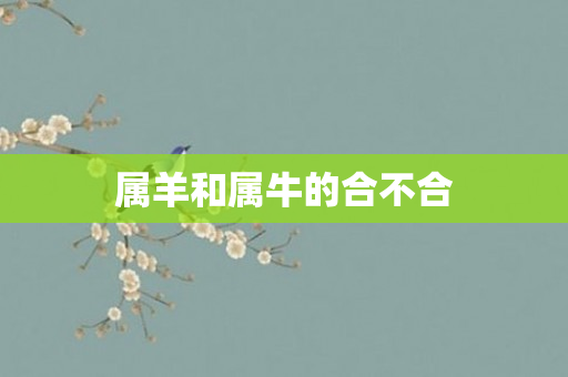 属羊和属牛的合不合