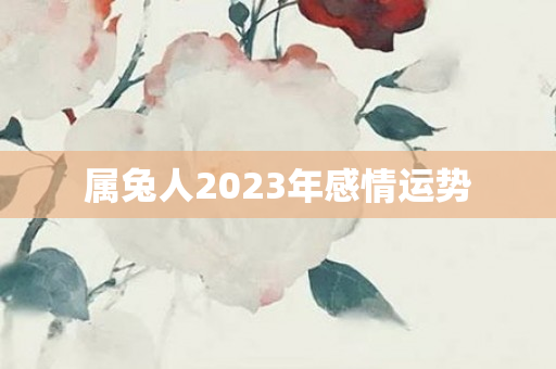 属兔人2023年感情运势