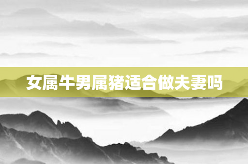 女属牛男属猪适合做夫妻吗