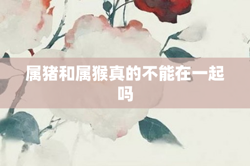 属猪和属猴真的不能在一起吗
