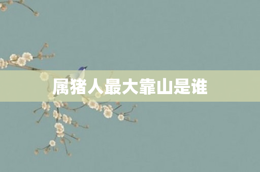 属猪人更大靠山是谁