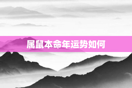 属鼠本命年运势如何