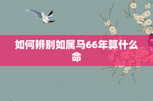 如何辨别如属马66年算什么命